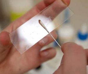 Андрофлор – новый шаг в диагностике бактериального простатита. Андрофлор – новый шаг в диагностике бактериального простатита.