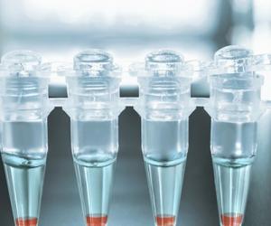 Уникальная технология исследовани «Фемофлор» Уникальная технология исследовани «Фемофлор»